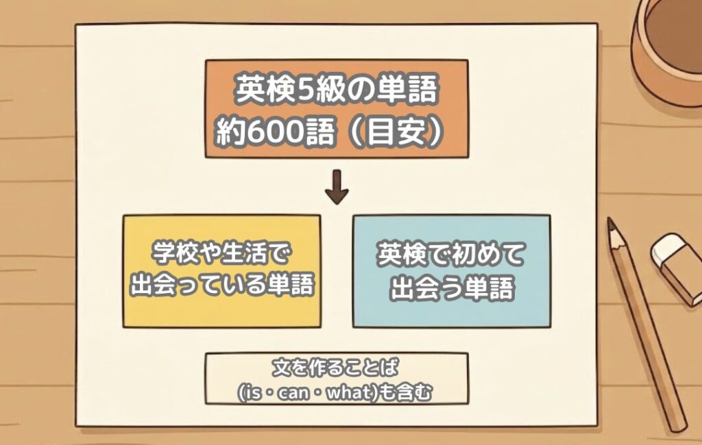 英検5級の単語約600語(目安)のうち、約半分は学校や生活で出会い済みで、よく出る約300語から覚え始める関係を示した図