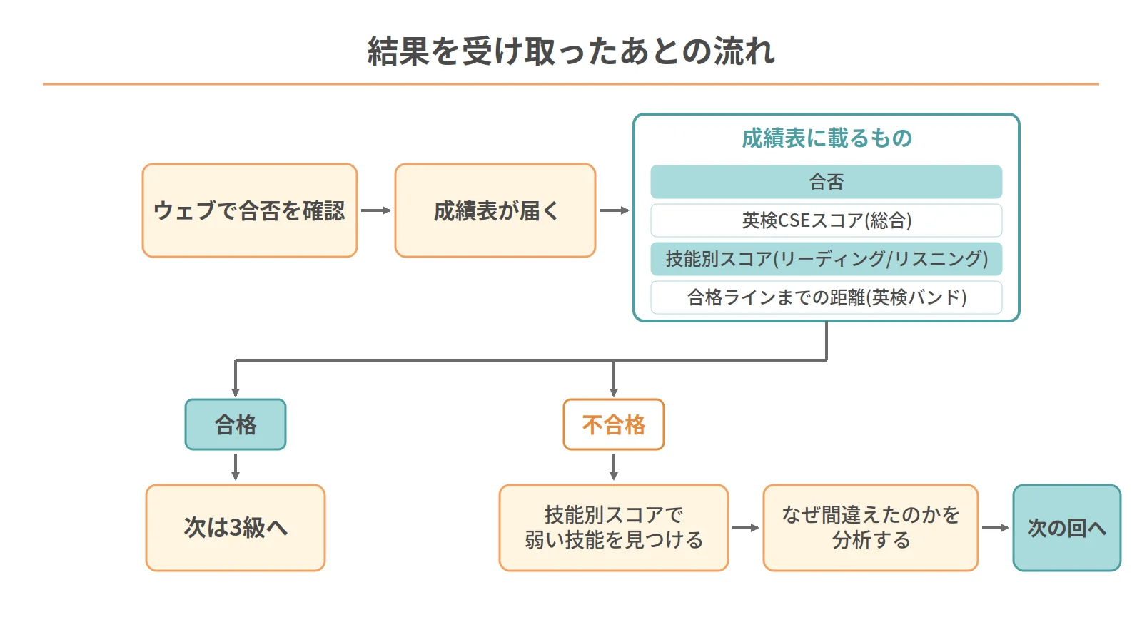 ウェブでの合否確認から成績表を受け取り、合格と不合格それぞれの次の動きへ進む流れを示した図